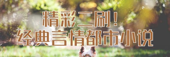 精彩二刷！经典言情都市小说